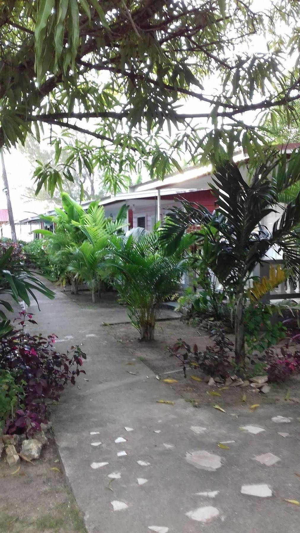 Roots Bamboo Beach Resort Negril Bagian luar foto